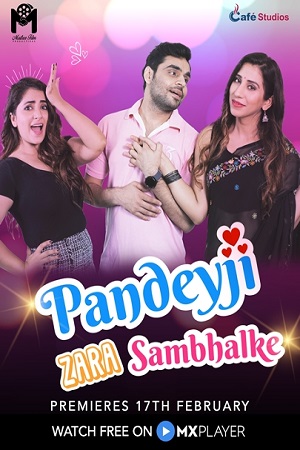 Download Pandeyji Zara Sambhalke (2021) Season 1 Hindi Complete MX Original WEB Series 480p | 720p WEB-DL poster