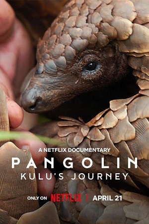 Download Pangolin: Kulu’s Journey (2025) WEB-DL Dual Audio {Hindi-English} 480p [320MB] | 720p [760MB] | 1080p [3.4GB] poster