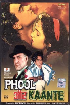 Download Phool Aur Kaante (1991) Hindi Full Movie 480p [450MB] | 720p [1.4GB] | 1080p [4.3GB] poster