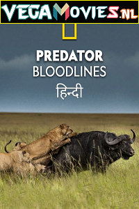 Download Predator Bloodlines (2021) Season 1 Hindi Complete DSNP WEB Series 480p | 720p HDRip poster