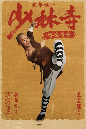 Download Rising Shaolin: The Protector (2021) HDRip Dual Audio {Hindi-Chinese} 480p [350MB] | 720p [1GB] poster