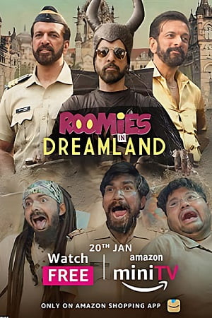 Download Roomies (Season 1 – 4)  Hindi Complete [Amazon Prime Video] WEB Series 480p | 720p | 1080p WEB-DL poster