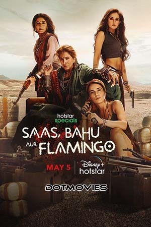 Download Saas Bahu Aur Flamingo (Season 1) Hindi Disney+ Hotstar Complete WEB Series 480p | 720p | 1080p WEB-DL poster