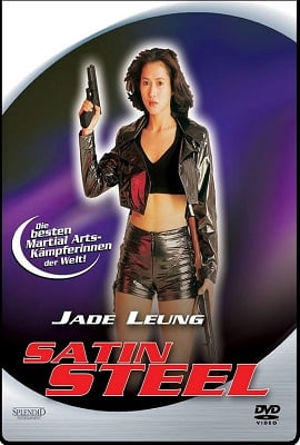 Download Satin Steel (1994) Dual Audio Hindi 480p [300MB] | 720p [1GB] poster