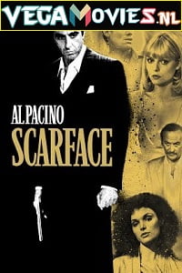 Download Scarface (1983) Dual Audio {Hindi-English} 480p [600MB] | 720p [1.6GB] | 1080p [3.3GB] poster