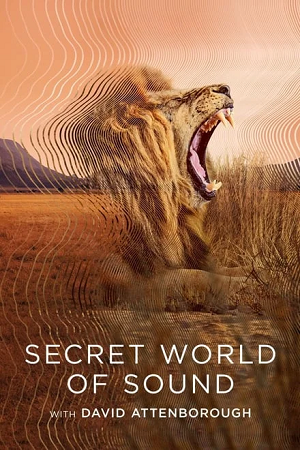 Download Secret World of Sound with David Attenborough – S01 (2024) Dual Audio {Hindi-English} WEB-Series 720p & 1080p WEB-DL poster