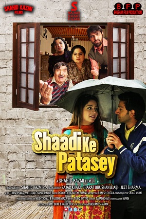 Download Shaadi Ke Patasey (2019) Hindi Full Movie WEB-DL 480p [230MB] | 720p [750MB] | 1080p [2.5GB] poster