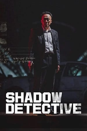 Download Shadow Detective (2022) [S01E08 Added] {Korean With English Subtitles} 720p [300MB] WEB-DL poster