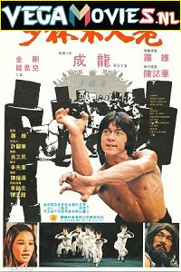 Download Shaolin Wooden Men (1976) Dual Audio [Hindi-English] 480p [350MB] | 720p [900MB] poster