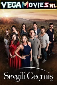 Download Sisterhood (2019) Season 1 [S01E24 Added] Dual Audio {Hindi-Turkish} Disney+ Hotstar 720p HEVC [400MB] WEB-DL poster