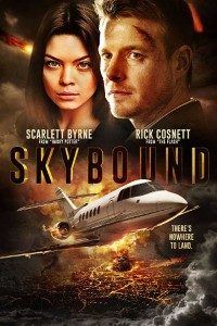 Download Skybound (2017) Dual Audio {Hindi-English} 480p [300MB] | 720p [800MB] BluRay poster