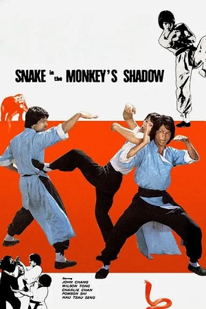 Download Snake in the Monkey’s Shadow (1979) Dual Audio {Hindi-English} 480p [320MB] | 720p [1.1GB] BluRay poster