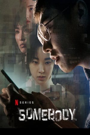 Download Somebody – Netflix Original (2022) Season 1 Dual Audio {Hindi-English} 720p [200MB] | 1080p [1GB] WEB-DL poster