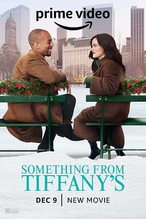 Download Something from Tiffanys (2022) Dual Audio {Hindi-English} 480p [300MB] | 720p [800MB] | 1080p [2GB] poster