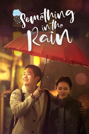 Download Something in the Rain (Season 1) Dual Audio {Hindi-Korean} Netflix Original WEB Series 480p | 720p | 1080p WEB-DL poster
