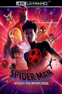 Download Spider-Man: Across the Spider-Verse (2023) BluRay Dual Audio {Hindi-English} 480p [480MB] | 720p [1.3GB] | 1080p [3GB] | 2160p [20GB] 4K SDR poster