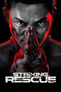 Download Striking Rescue (2024) BluRay Dual Audio {Hindi-Chinese} 480p [400MB] | 720p [1.1GB] | 1080p [2.1GB] poster