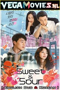 Download Netflix Sweet & Sour (2021) English Dubbed [5.1 DD] 480p [300MB] | 720p [1GB] | 1080p [2GB] poster