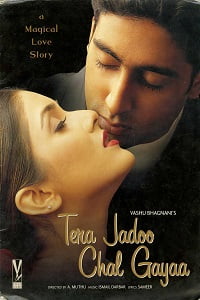 Download Tera Jadoo Chal Gayaa (2000) HDRip Hindi Full Movie 480p [450MB] | 720p [1.2GB] | 1080p [2GB] poster