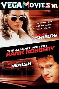 Download The Almost Perfect Bank Robbery (1997) Dual Audio [Hindi-English] WeB-DL 480p [350MB] | 720p [950MB] poster