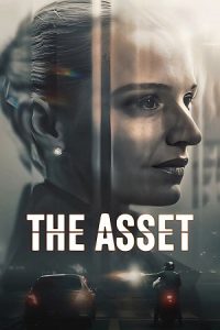 Download The Asset (2025) Season 1 Dual-Audio {Hindi-Danish} Netflix-Series 480p | 720p | 1080p WEB-DL poster