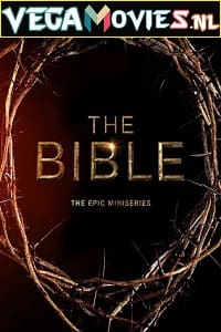Download The Bible (2013) Season 1 Dual Audio {Hindi-English} 720p [400MB] WEB-DL poster
