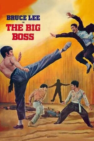 Download The Big Boss (1971) BluRay Dual Audio {Hindi-English} 480p [330MB] | 720p [800MB] | 1080p [2.2GB] Full-Movie poster