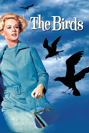 Download The Birds (1963) Dual Audio {Hindi-English} 480p [400MB] | 720p [1.2GB] | 1080p [2.5GB] poster