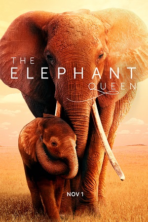 Download The Elephant Queen (2019) WEB-DL Dual Audio {Hindi-English} 480p [320MB] | 720p [900MB] | 1080p [2GB] poster
