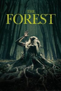 Download The Forest (2016) BluRay Dual Audio {Hindi-English} 480p [300MB] | 720p [850MB] | 1080p [2GB] poster