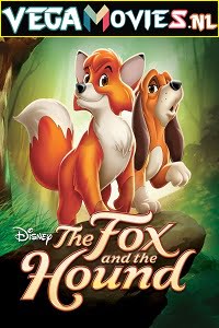Download The Fox and the Hound (1981) Dual Audio {Hindi-English} 480p [250MB] | 720p [800MB] poster