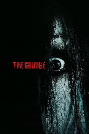 Download The Grudge (2004) Extended BluRay Dual Audio {Hindi-English} 480p [330MB] | 720p [1.2GB] | 1080p [2.2GB] poster