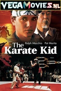Download The Karate Kid (1984) Dual Audio {Hindi-English} 480p [400MB] | 720p [1GB] | 1080p [4GB] poster