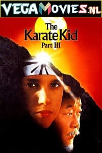 Download The Karate Kid Part 3 (1989) Dual Audio {Hindi-English} 480p [400MB] | 720p [850MB] | 1080p [3.7GB] poster