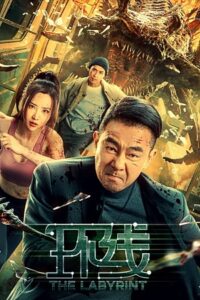 Download The Labyrinth (2022) WEB-DL Dual Audio {Hindi ORG – Chinese} 480p [250MB] | 720p [650MB] | 1080p [1.4GB] poster