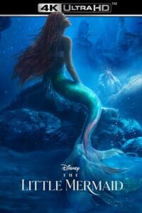 Download The Little Mermaid (2023) BluRay Dual Audio {Hindi ORG 5.1 – English} 480p [450MB] | 720p [1.4GB] | 1080p [3.2GB] | 2160p [25GB] poster