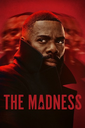 Download The Madness (2024) Season 1 Netflix Original Dual Audio {Hindi-English} WEB Series – 480p | 720p | 1080p WEB-DL poster