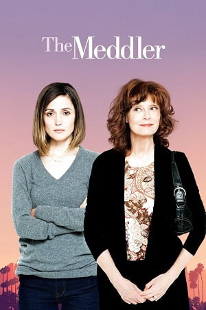 Download The Meddler (2015) Dual Audio [Hindi + English] WeB-DL 480p [350MB] | 720p [950MB] | 1080p [2.1GB] poster