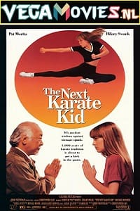 Download The Next Karate Kid (1994) Dual Audio {Hindi-English} 480p [400MB] | 720p [1GB] | 1080p [3.7GB] poster