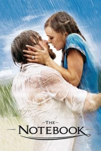 Download The Notebook (2004) Dual Audio {Hindi-English} BluRay 480p [370MB] | 720p [1.2GB] | 1080p [2.6GB] poster