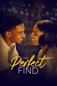 Download The Perfect Find (2023) Netflix Original Dual Audio {Hindi-English} 480p [350MB] | 720p [900MB] | 1080p [2GB] WEB-DL poster