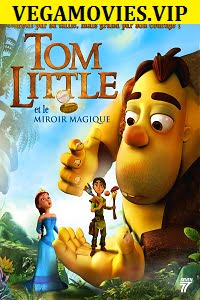 Download The Princess and the Magic Mirror (2014) Dual Audio {Hindi-English} WEB-DL 480p [300MB] | 720p [750MB] poster