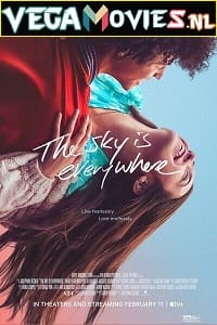 Download The Sky Is Everywhere (2022) {English With Subtitles} 480p [300MB] | 720p [800MB] | 1080p [2GB] poster