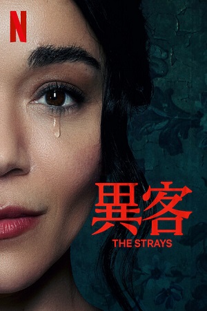 Download The Strays – Netflix Original (2023) WEB-DL Dual Audio {Hindi-English} 480p [300MB] | 720p [650MB] | 1080p [1.3GB] poster