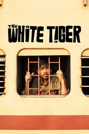Download The White Tiger (2021) Hindi Full Movie WEB-DL 480p [350MB] | 720p [1.1GB] | 1080p [2.4GB] poster