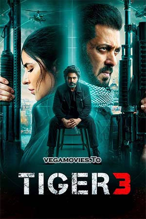 Download Tiger 3 (2023) Hindi AMZN WEB-DL 480p [500MB] | 720p [1.3GB] | 1080p [2.5GB] | 2160p 4K UHD [17GB] poster