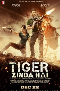 Download Tiger Zinda Hai (2017) BluRay Hindi Full Movie 480p [450MB] | 720p [1.4GB] | 1080p [3.3GB] poster