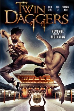 Download Twin Daggers (2008) Dual Audio {Hindi-English} 480p [300MB] | 720p [1.2GB] poster