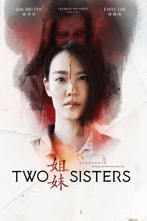 Download Two Sisters (2019) WEB-DL Dual Audio {Hindi-Chinese} 480p [310MB] | 720p [890MB] | 1080p [2.1GB] poster