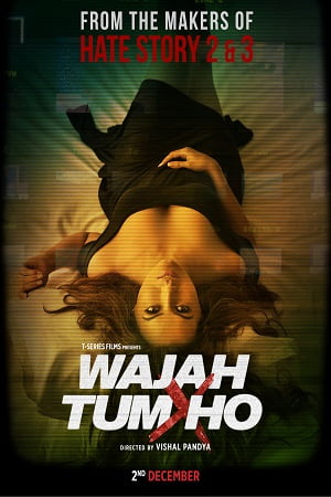 Download Wajah Tum Ho (2016) Hindi Full Movie 480p [350MB] | 720p [1.2GB] | 1080p [4GB] poster